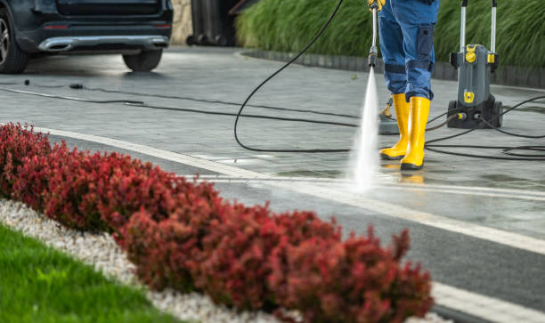 Best Driveway Pressure Washing  in Rice Lake, WI